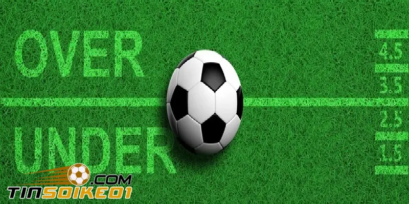 Kèo Tài Xỉu 2-2.5 Là Gì? Cách Đọc Và Tính Tiền Kèo 2-2.5 3 Kinh nghiệm đánh kèo tài xỉu 2-2.5